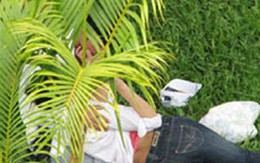 Bắt giữ băng cướp sex